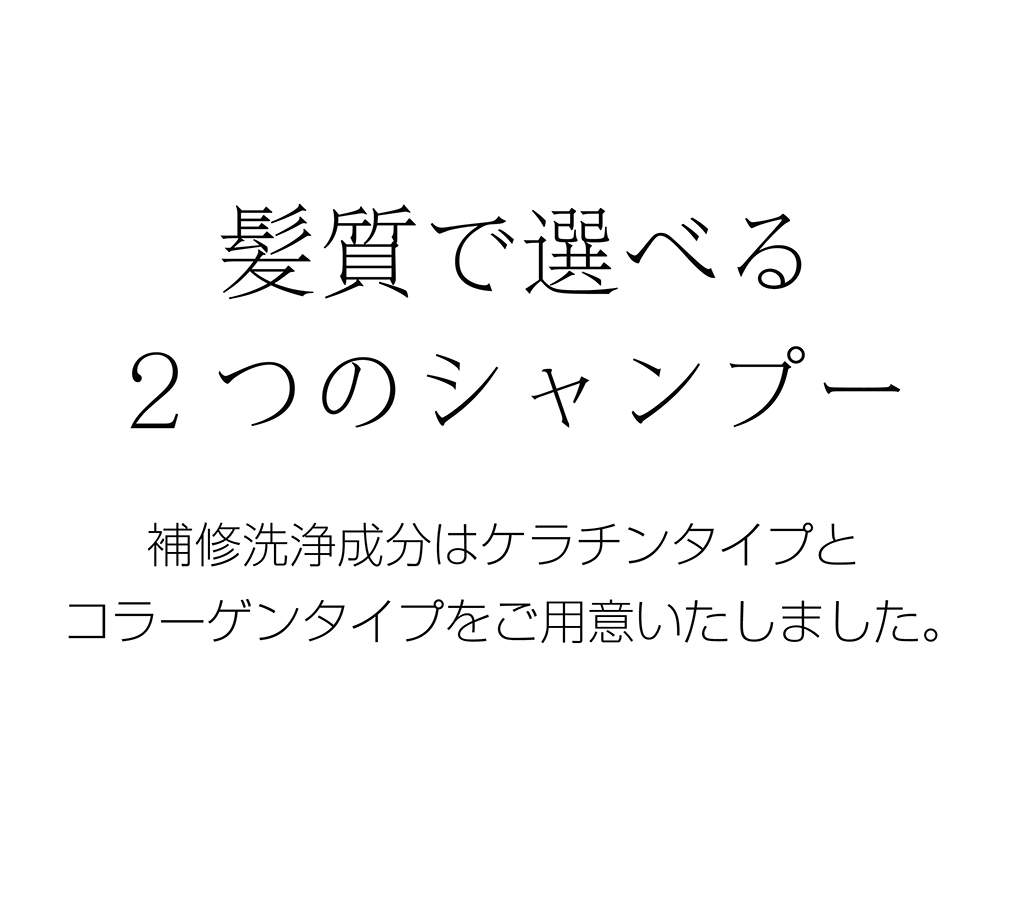 髪質で選べる2つのシャンプー