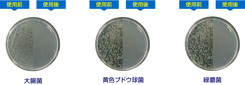 説明画像：雑菌検査結果（大腸菌・黄色ブドウ球菌・緑膿菌）