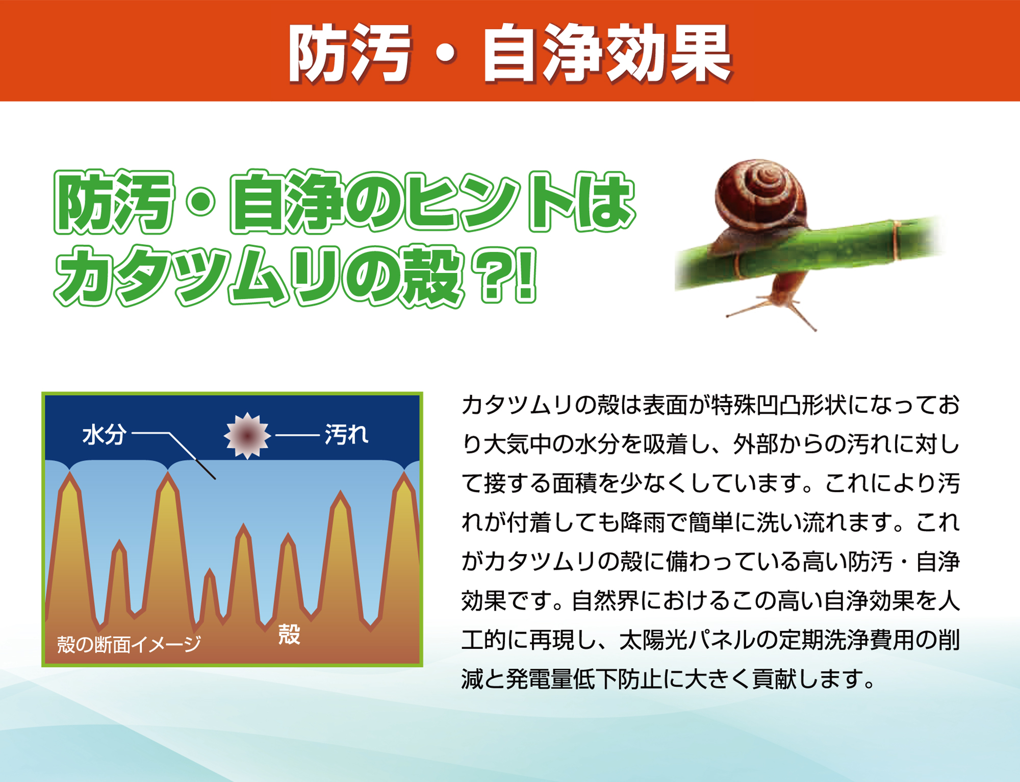 防汚・自浄効果